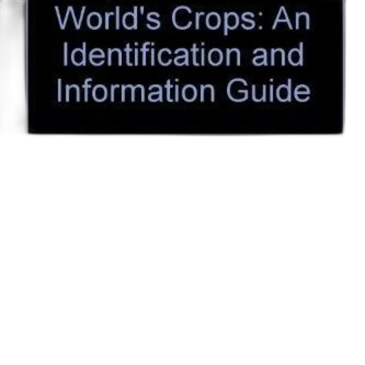 book, cover, titled, world transparent PNG cut-out