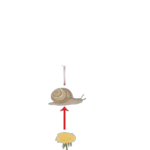 hat, umbrella, staff, animal transparent PNG cut-out
