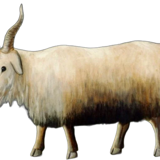 animal, creature, weapon, staff transparent PNG cut-out