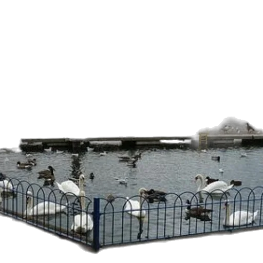 3d render, concept art, photorealistic, pixel art transparent PNG cut-out