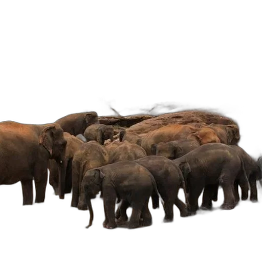 animal, staff, concept art, 3d render transparent PNG cut-out