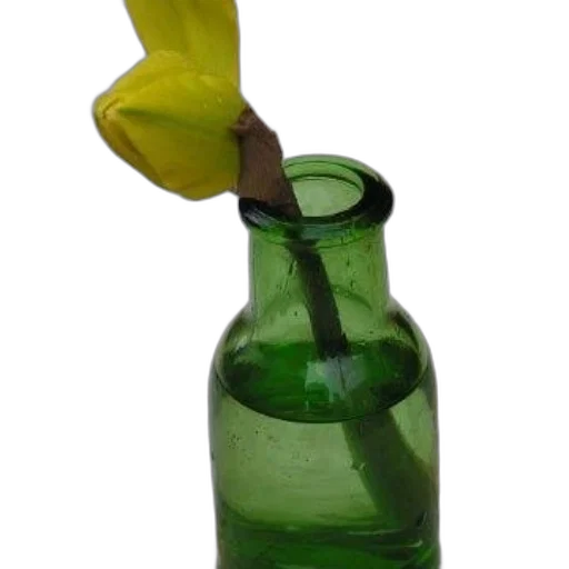 bottle, flower, weapon, staff transparent PNG cut-out