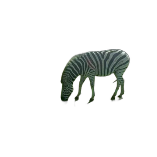 animal, creature, furniture, dragon transparent PNG cut-out
