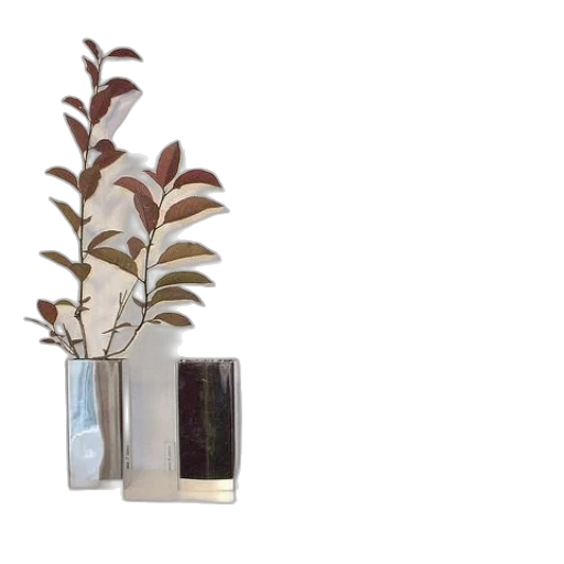 jewelry, tree, bottle, furniture transparent PNG cut-out
