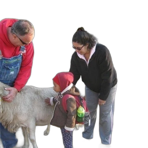 man, overalls, pets, sheep transparent PNG cut-out