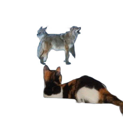 animal, creature, staff, furniture transparent PNG cut-out