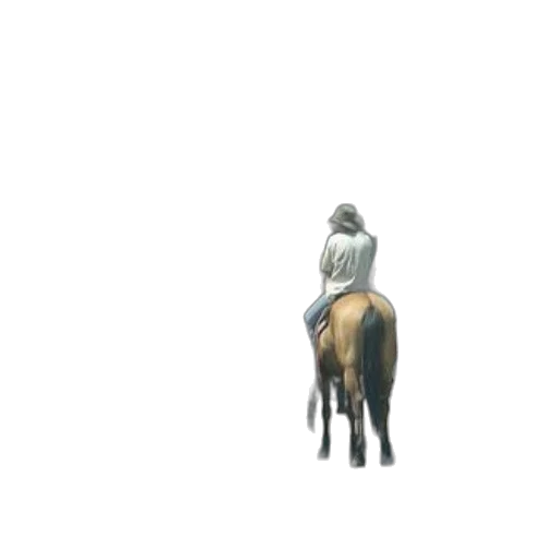animal, jacket, hat, crown transparent PNG cut-out
