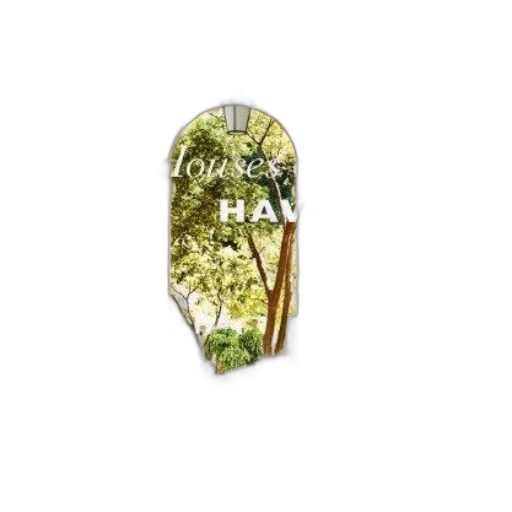 jewelry, tree, jacket, forest transparent PNG cut-out