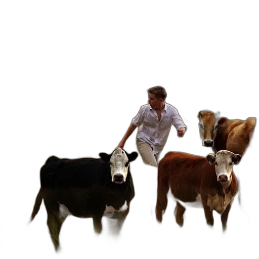 animal, concept art, man, white transparent PNG cut-out