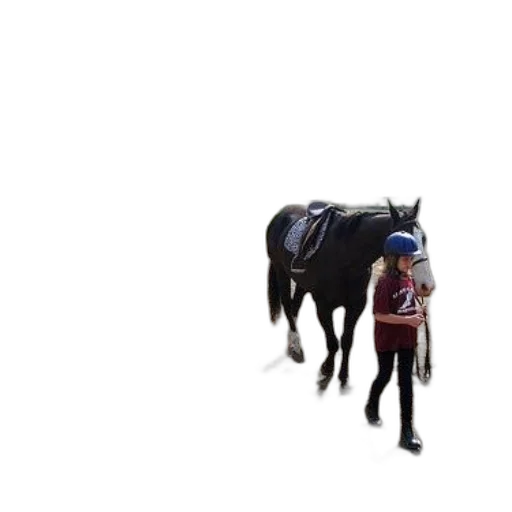 animal, hat, creature, staff transparent PNG cut-out