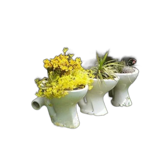 flower, jewelry, crown, furniture transparent PNG cut-out