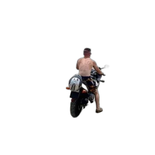 animal, creature, car, jacket transparent PNG cut-out