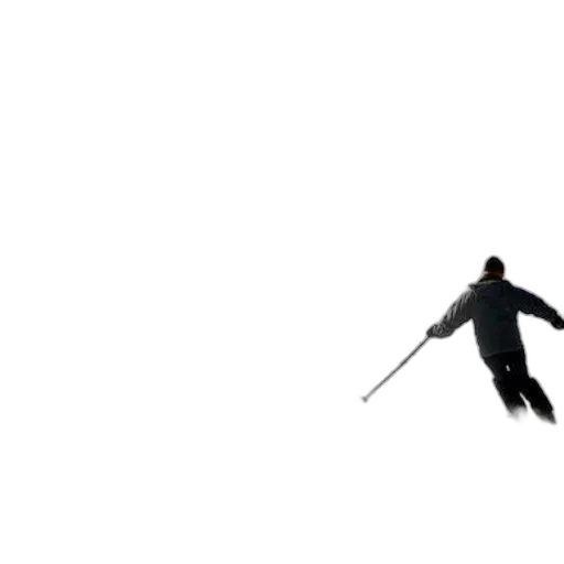 sword, staff, weapon, animal transparent PNG cut-out