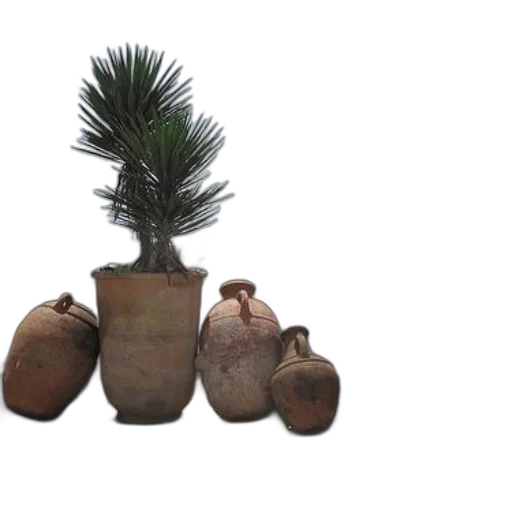 tree, crown, shoes, 3d render transparent PNG cut-out
