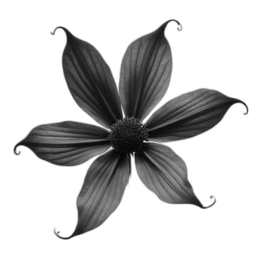 flower, crown, staff, jewelry transparent PNG cut-out