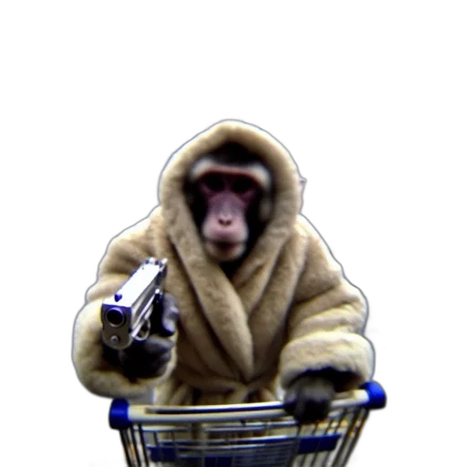 jacket, animal, creature, weapon transparent PNG cut-out