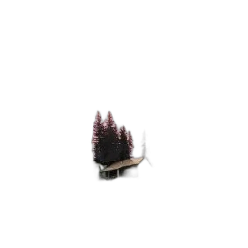 tree, furniture, hat, car transparent PNG cut-out