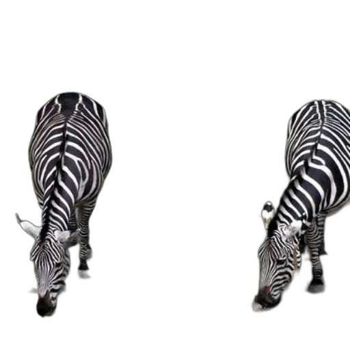 animal, shoes, jewelry, furniture transparent PNG cut-out
