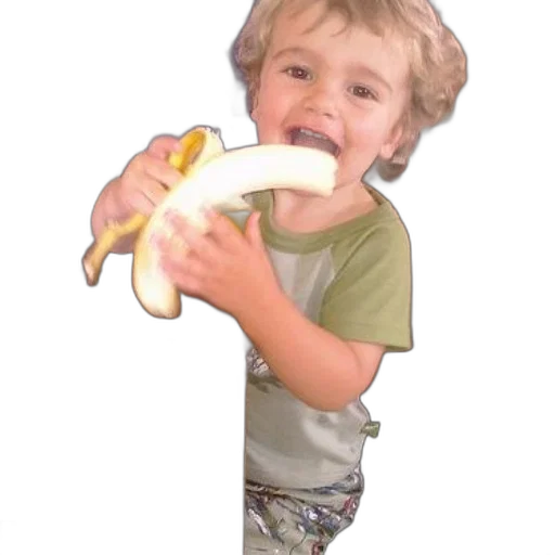 animal, creature, weapon, food transparent PNG cut-out