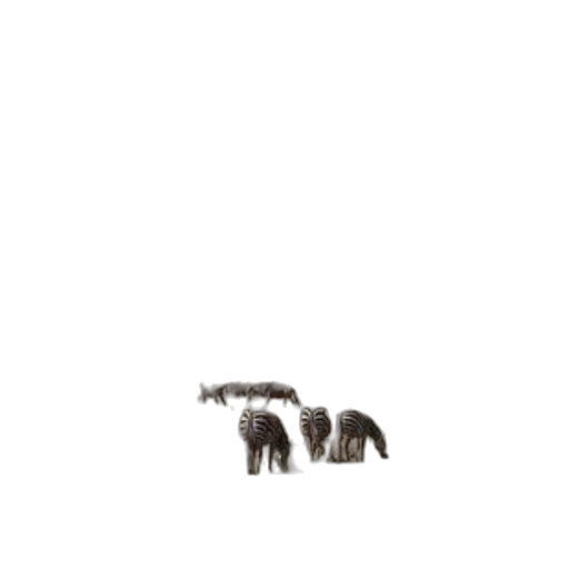 animal, creature, furniture, hair transparent PNG cut-out