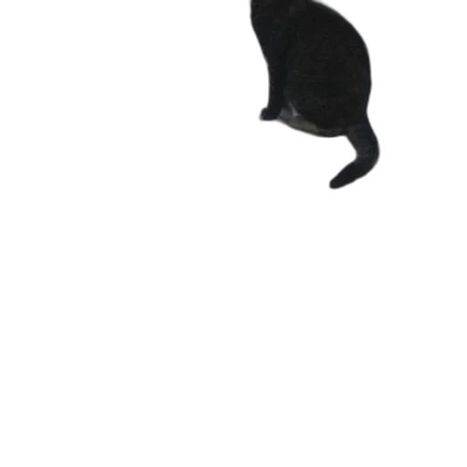 animal, staff, creature, hat transparent PNG cut-out