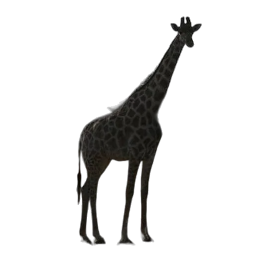 animal, creature, staff, dress transparent PNG cut-out