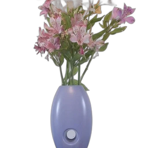flower, jewelry, bottle, crown transparent PNG cut-out