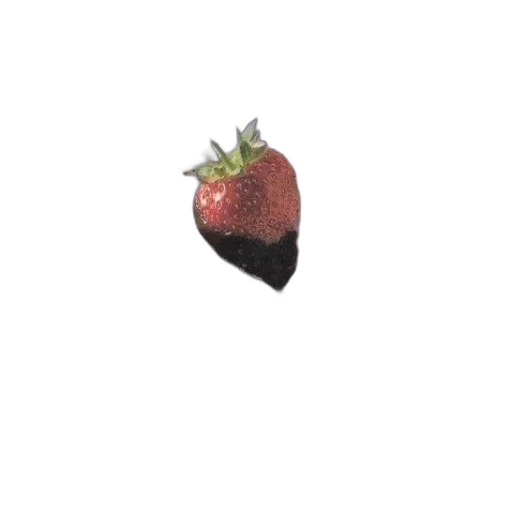 food, hat, crown, creature transparent PNG cut-out