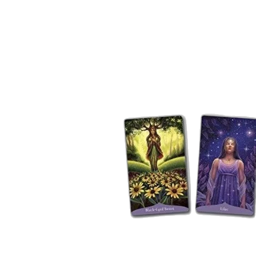 outer space, magic, flowers, oracle transparent PNG cut-out
