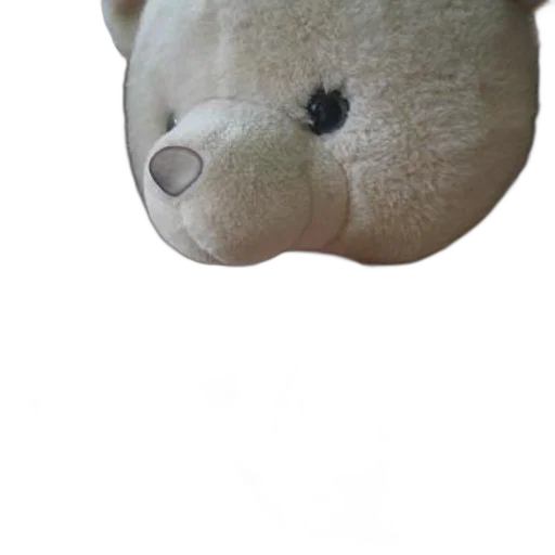 face, mask, animal, creature transparent PNG cut-out