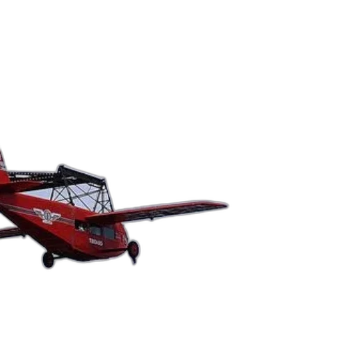 car, animal, 3d render, photorealistic transparent PNG cut-out