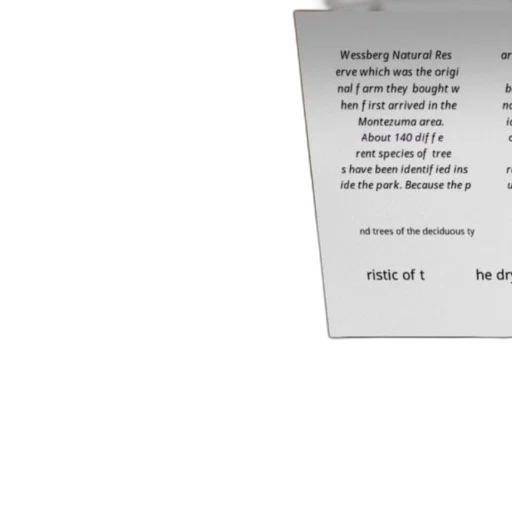 sword, image, shows, text transparent PNG cut-out