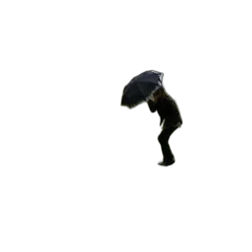 umbrella, jacket, staff, hat transparent PNG cut-out