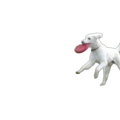 animal, creature, dragon, staff transparent PNG cut-out