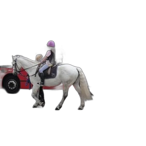 animal, car, concept art, photorealistic transparent PNG cut-out