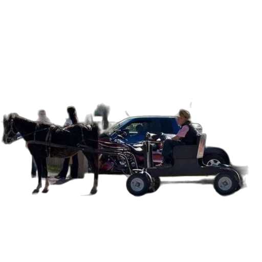car, animal, robot, staff transparent PNG cut-out