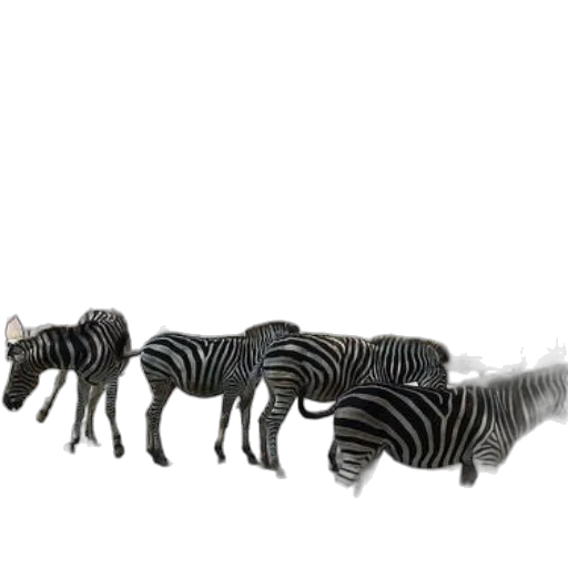 animal, creature, furniture, hair transparent PNG cut-out
