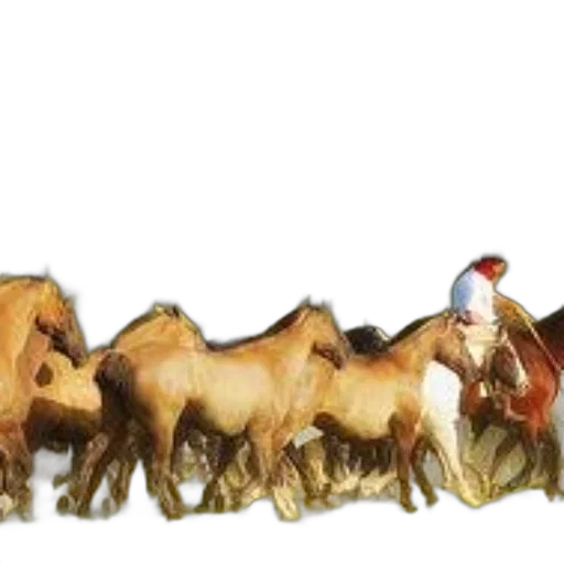 animal, hair, staff, crown transparent PNG cut-out