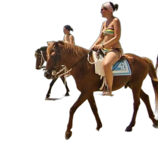 animal, concept art, 3d render, photorealistic transparent PNG cut-out