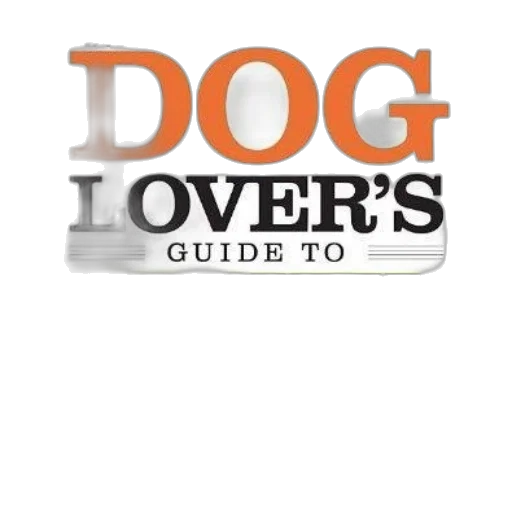 dog, lover, guide, travel transparent PNG cut-out