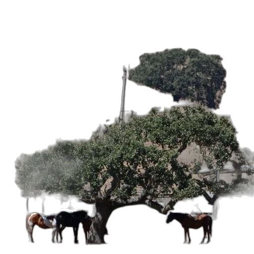 tree, animal, crown, dragon transparent PNG cut-out