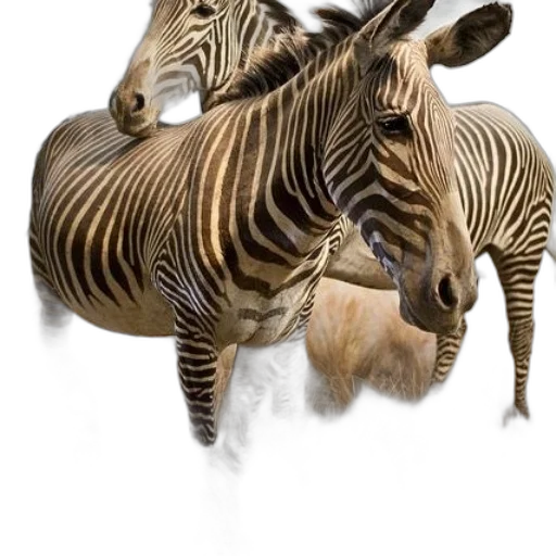 animal, creature, photorealistic, 3d render transparent PNG cut-out
