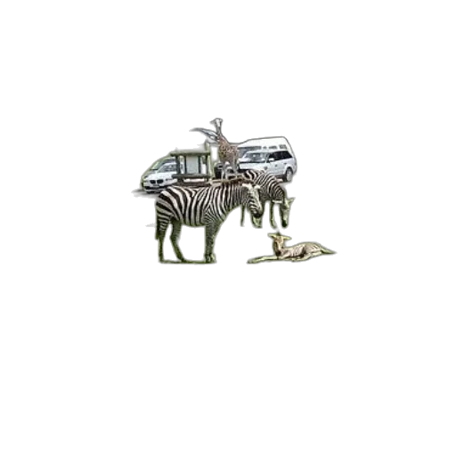 car, animal, furniture, robot transparent PNG cut-out