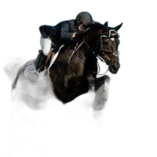animal, photorealistic, fantasy art, concept art transparent PNG cut-out