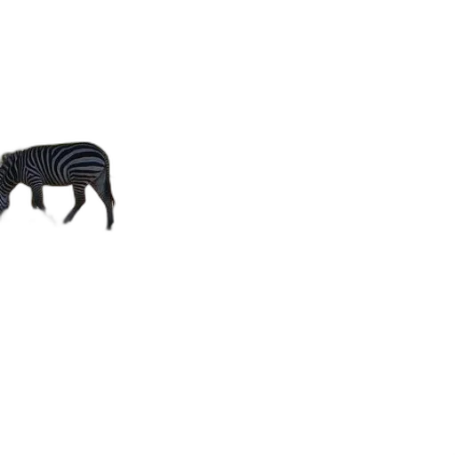 animal, furniture, creature, hair transparent PNG cut-out