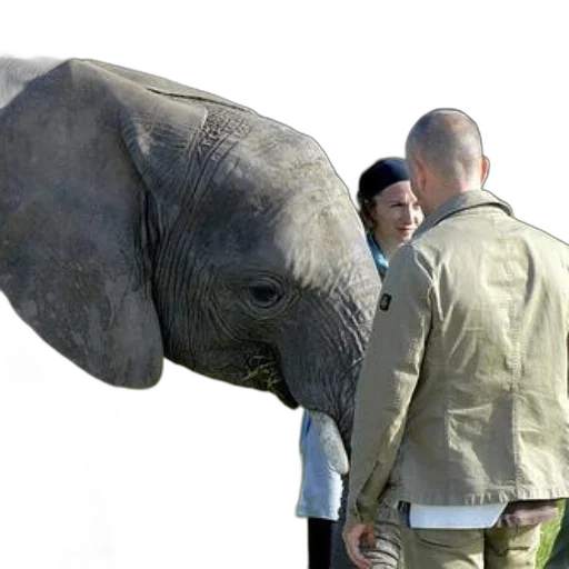 animal, creature, jacket, umbrella transparent PNG cut-out
