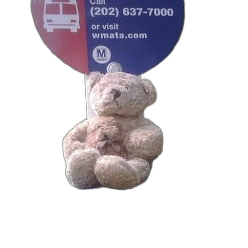 teddy, bear, sits, top transparent PNG cut-out