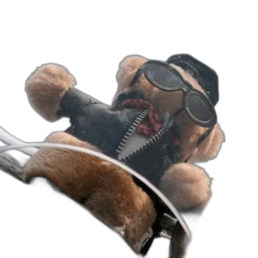 staff, hat, animal, creature transparent PNG cut-out