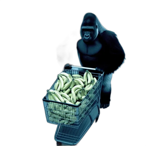 animal, food, creature, weapon transparent PNG cut-out