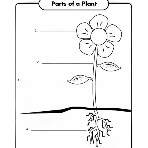flower, tree, crown, concept art transparent PNG cut-out